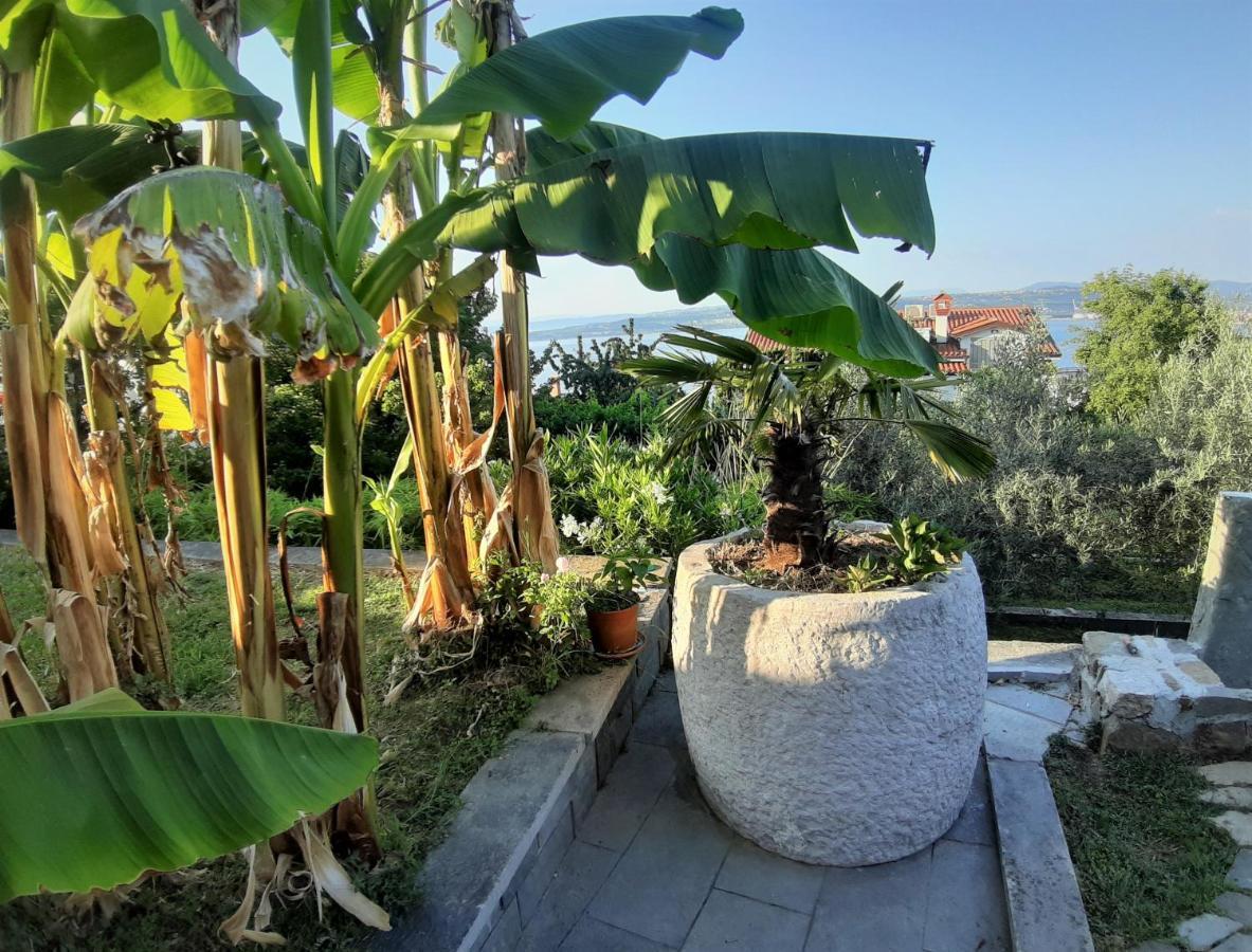 Apartment Nona Nina Koper Dış mekan fotoğraf